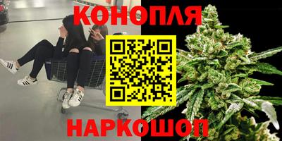 тгк Партизанск